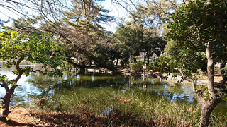 三宝寺池