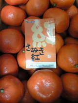 1a8bcd56.jpg