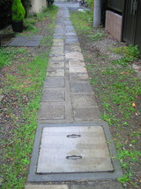 264fccc5.jpg