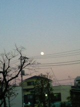 2d7145aa.jpg