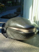 382f2b59.jpg