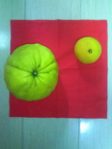 437a5d97.jpg