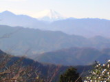 490f4839.jpg