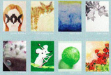 4e094d53.jpg