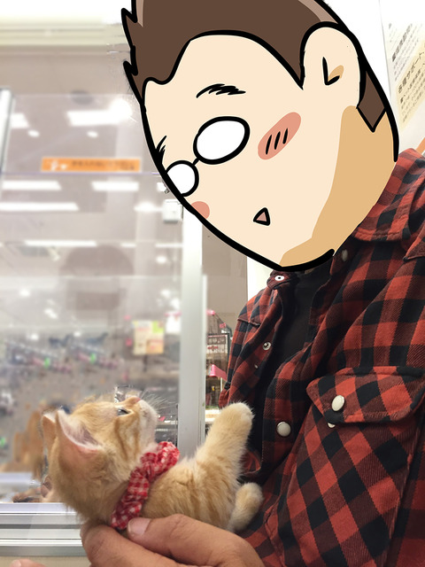 梅さんと猫