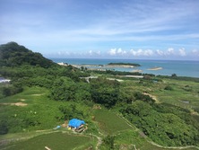 IMG_0614