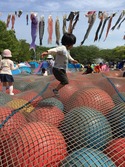 IMG_0220