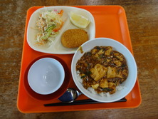 DSC03217