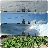 19.01.11 º£Æü¤Î¶õ¤ÈÄíÌÚ¤ÎÑòÄê