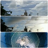 c91508cd.jpg