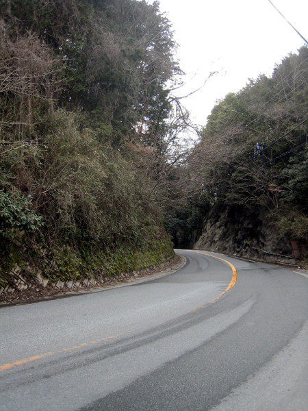 県道290号線