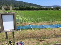 作業終了後(春水)