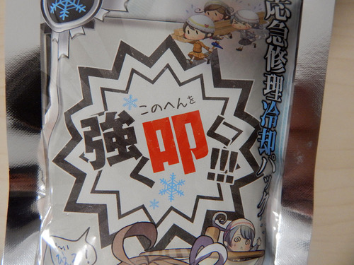 DSCN6638