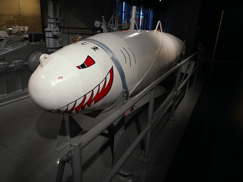 DSCN0196