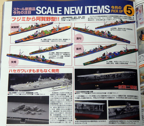 DSCN5530