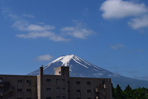 DSC_0891