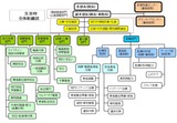 災害時組織図