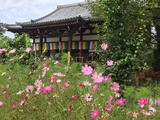 般若寺