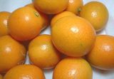 d13a6781.jpg