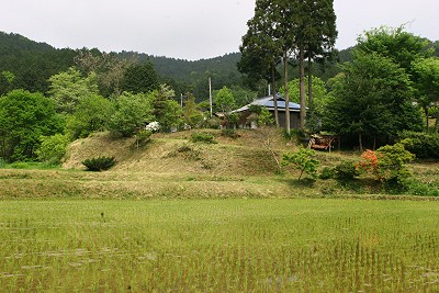 5766cb23.jpg