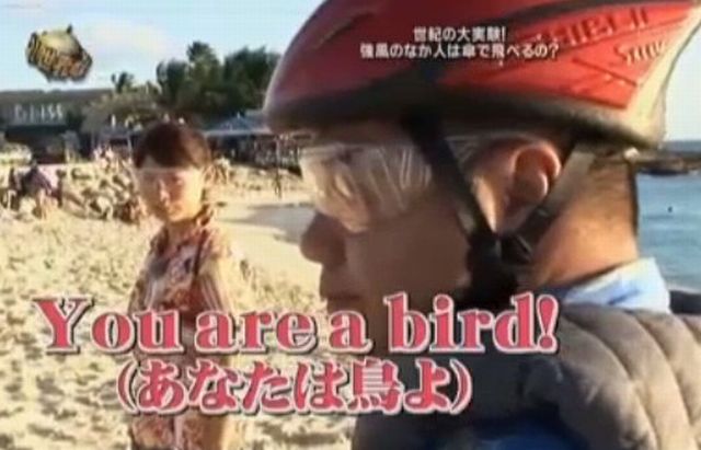 強風の中、人は飛べるのか