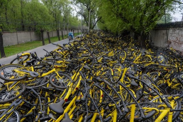 ofo 2