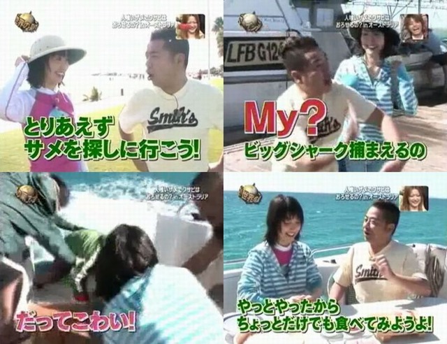 サメまとめ
