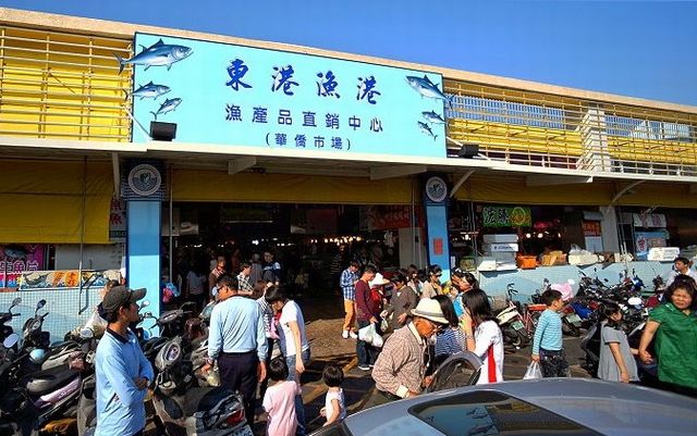 海産センター