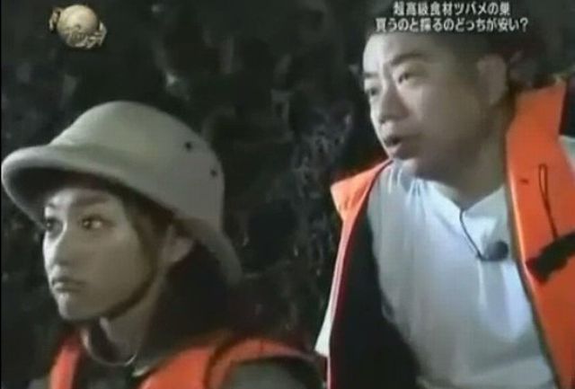 ツバメの巣採取