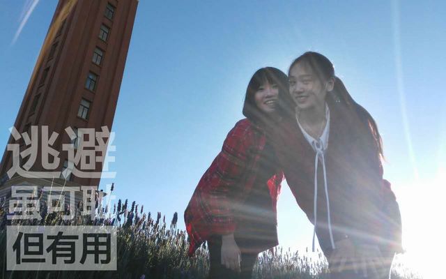 逃避雖可恥但有用