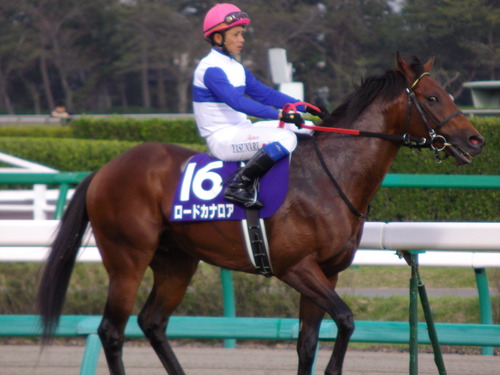 SS返し馬