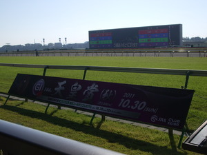 東京競馬場@