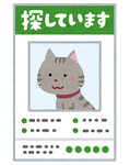 yukuefumei_pet_cat