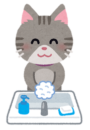 tearai_animal_neko