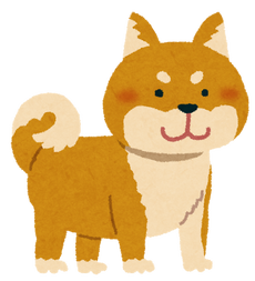 shibainu_brown
