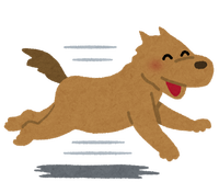 run_dog_smile