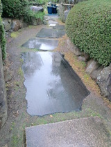yuraisi