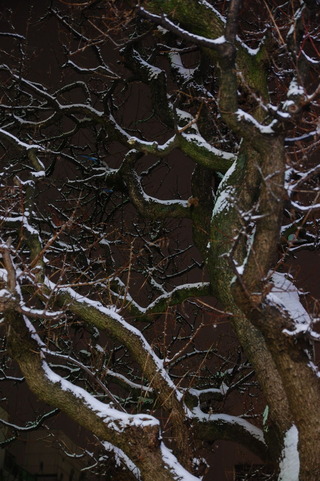 DSC_0068
