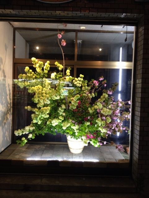 大手毬のウィンドウディスプレイ タナカヤ花店のブログ 長崎県平戸市のお花屋さん