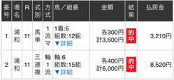 会員馬券
