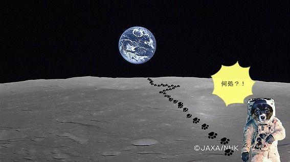 1moon