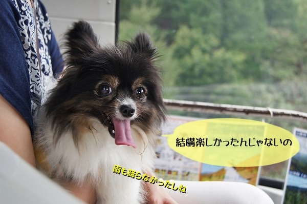 026DSC09576