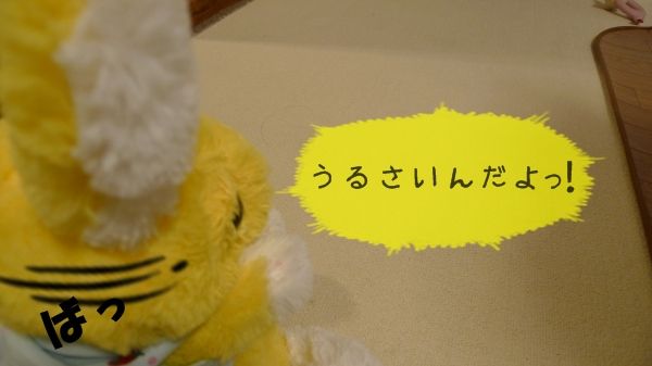 0j1P1150070