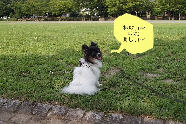 99DSC01297