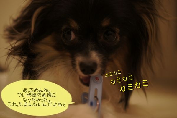 02DSC03074