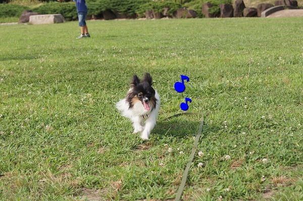 09DSC01270