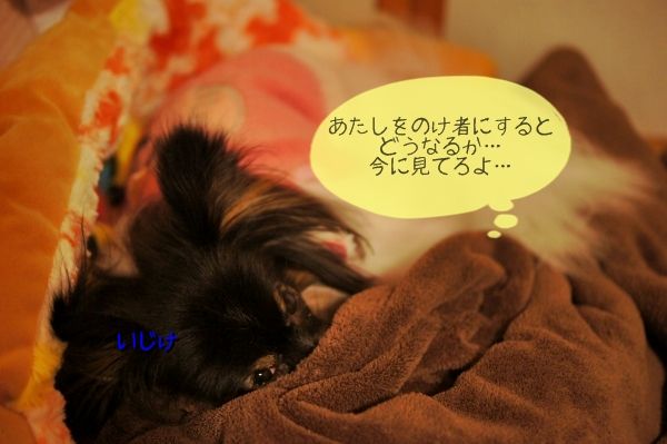 04DSC05096