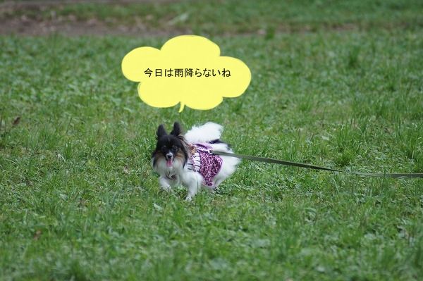 04DSC00928