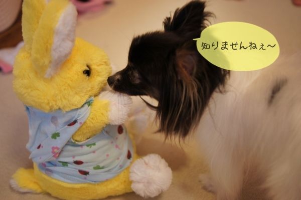 05DSC04194