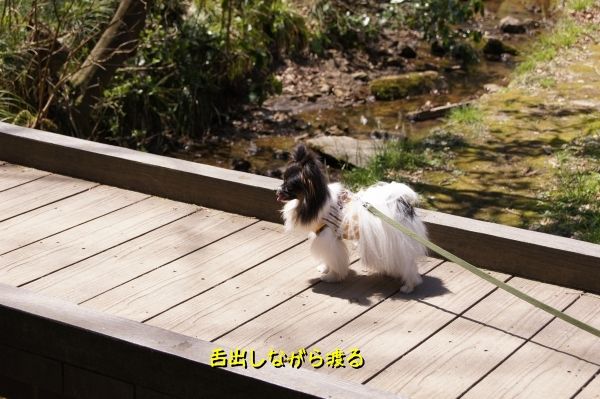 04DSC05890